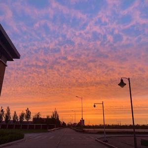 韩国美女一级毛片
