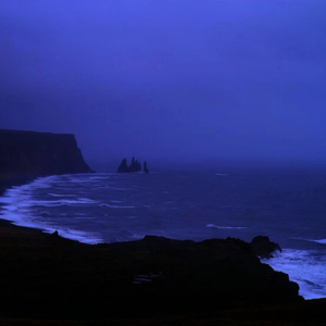 韩国美女一级毛片
